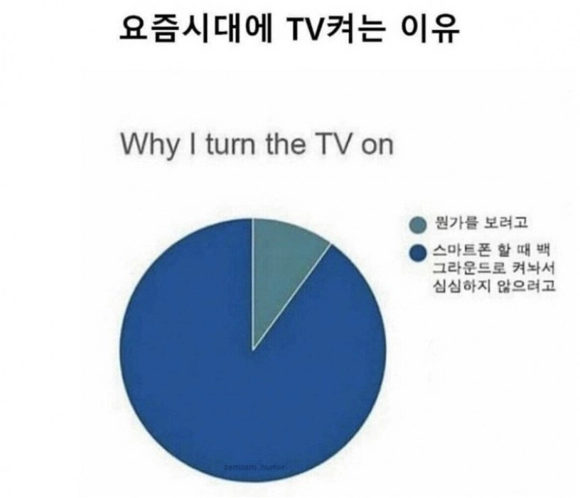 요즘 시대에 TV 켜는 이유