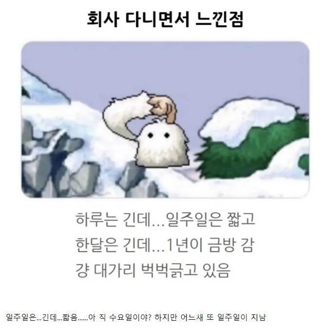 회사 다니면서 느끼는 것