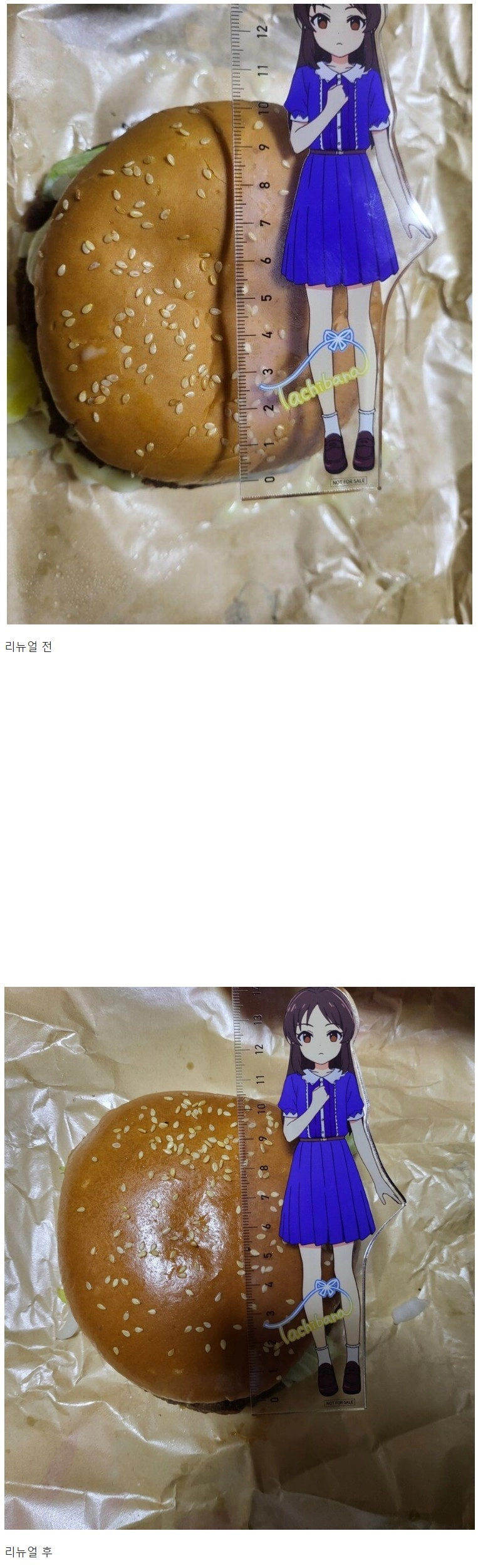 와퍼 리뉴얼 전/후 충격적인 크기 비교