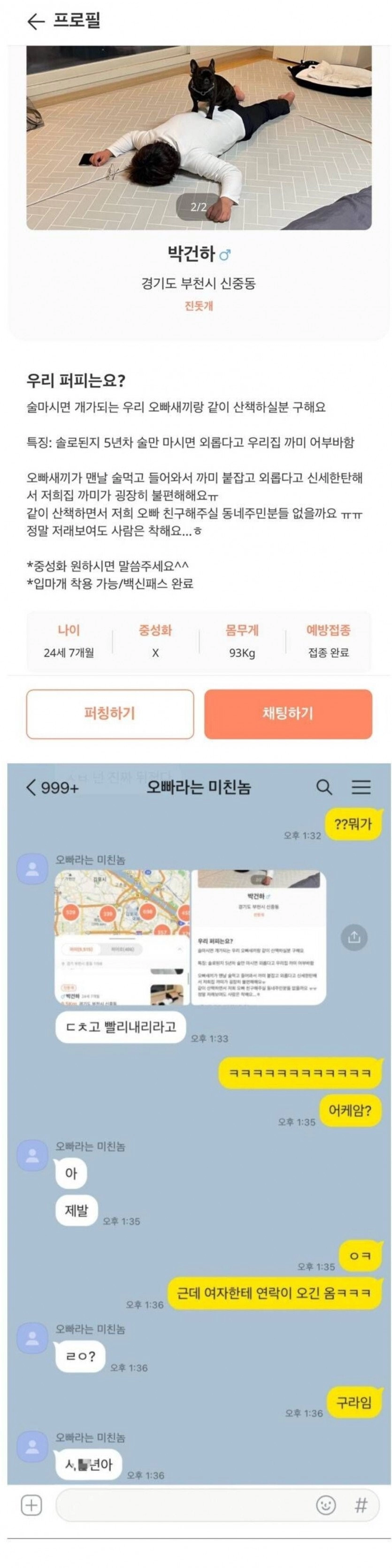 당근에 올라온 강아지 분양 공고
