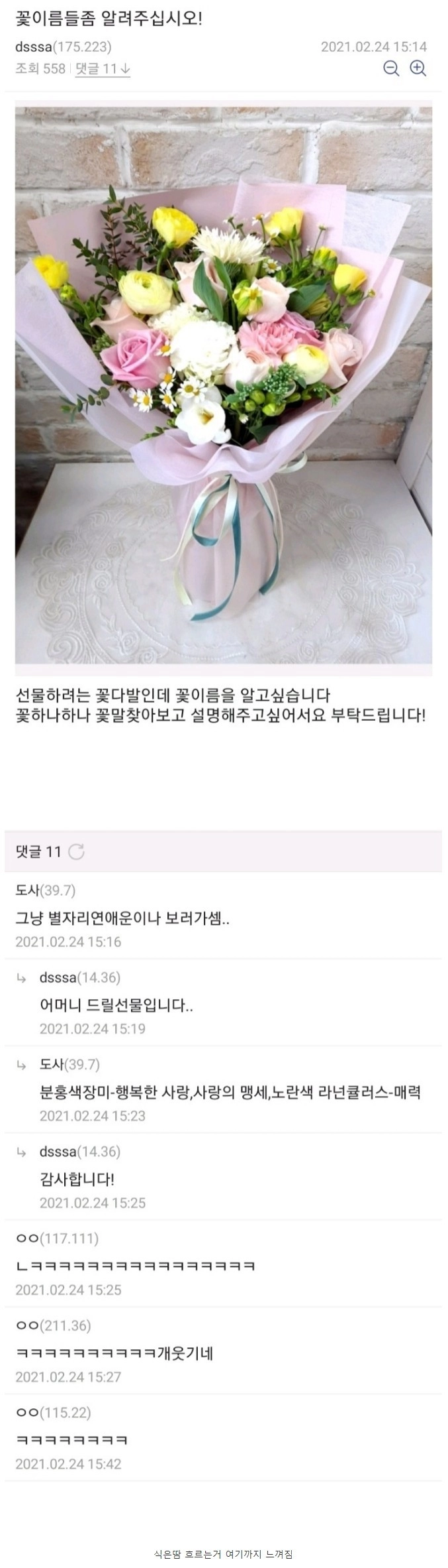 디시 식물 갤러리 탈룰라 레전드