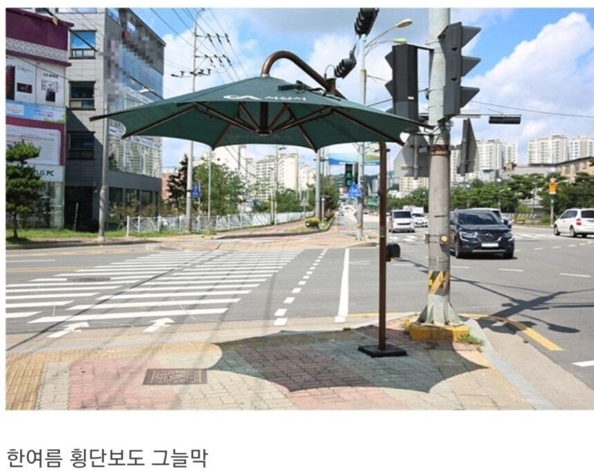 여름 되면 체감하는 지자체 최대 업적