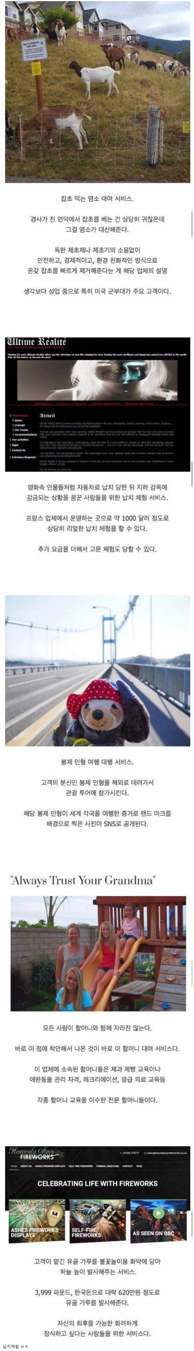 해외의 특이한 유료 서비스 업체들