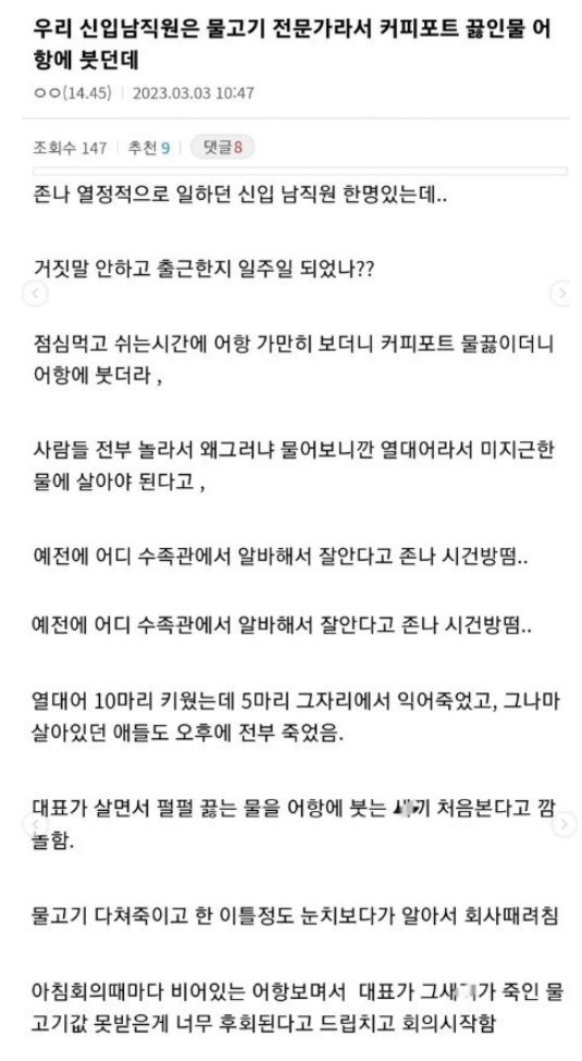 신입이 어항에 펄펄끓는 물 부음