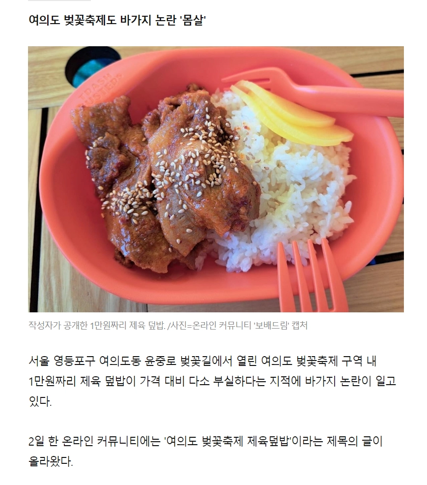 여의도 벚꽃축제 1만원짜리 제육덮밥
