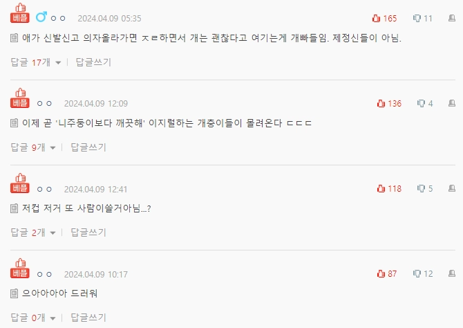 오늘자 인스타 무개념 견주 논란