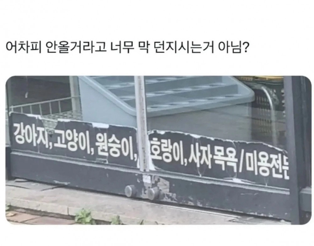 사장님 진짜 이게 맞아요?
