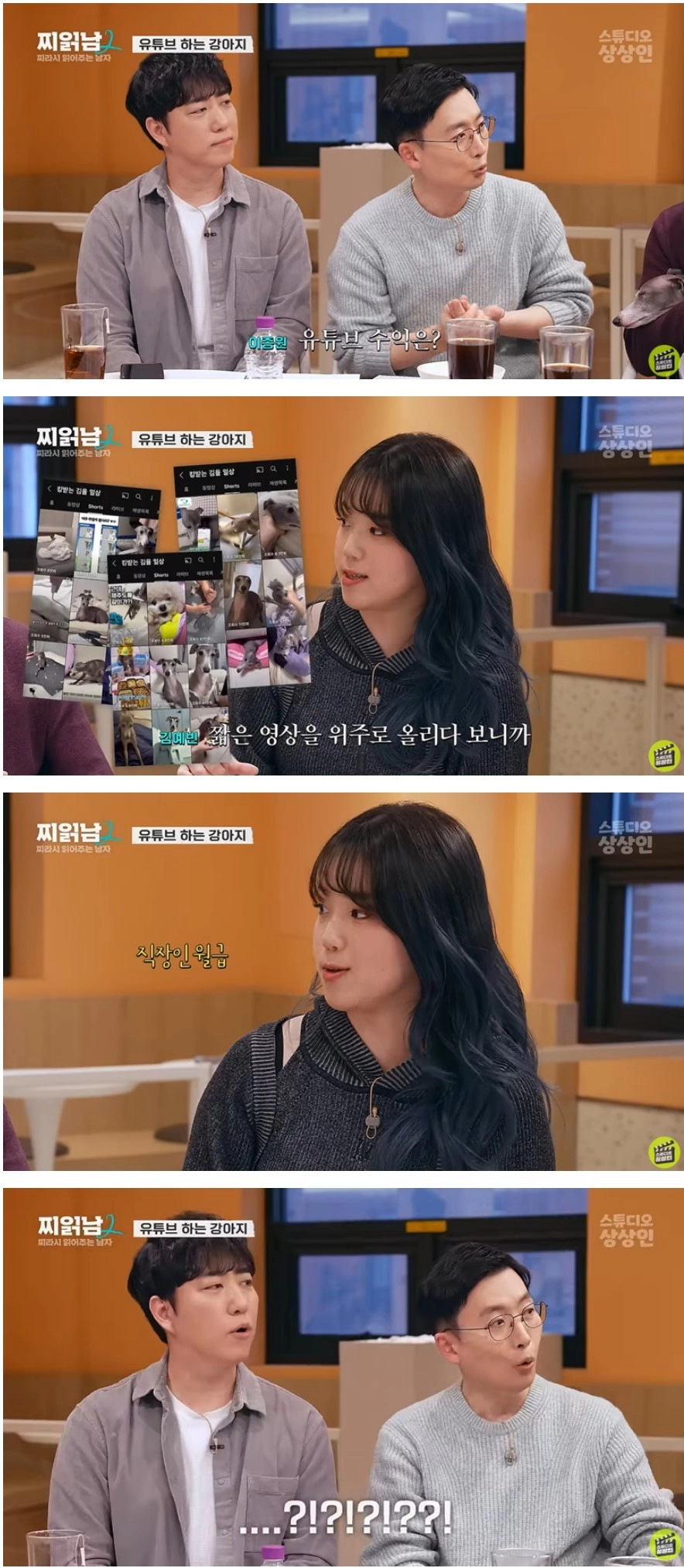 SNS 스타 강아지가 한달에 버는 돈