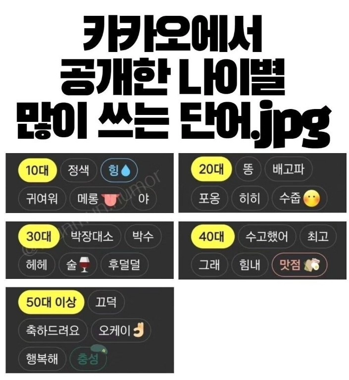 카카오에서 공개한 나이별 많이 쓰는 단어