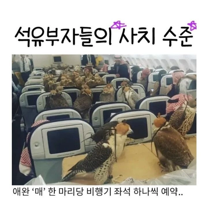 석유 부자들의 사치 수준