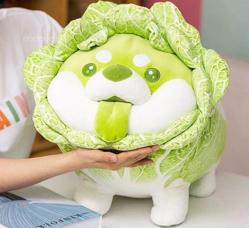 자마자 저절로 개추가 나오는 사진