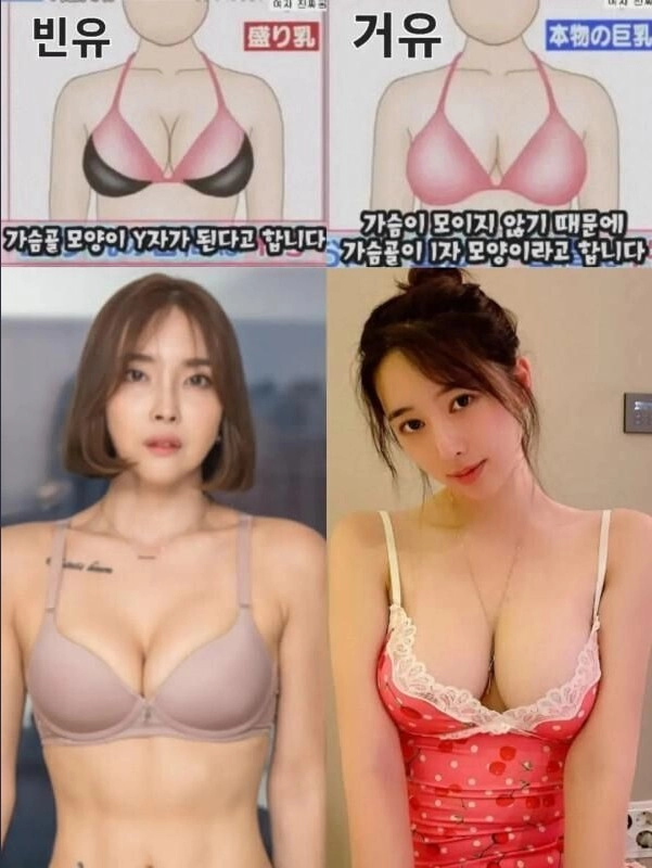 아다 필독  빈유 & 거유 정확히 구분하는 방법