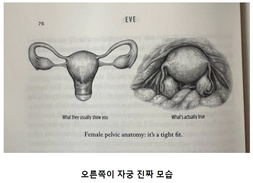 우리가 잘못 배운 성지식