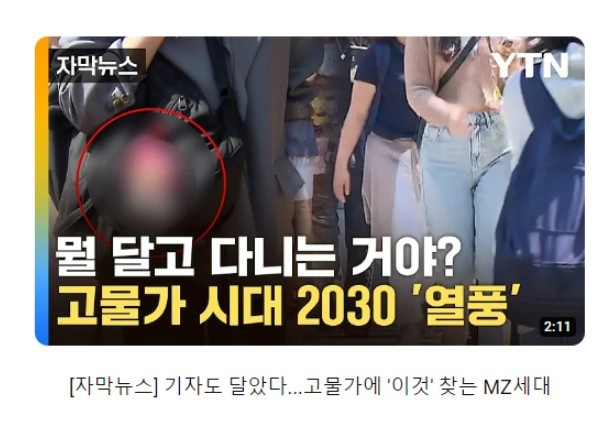 납득이 잘 안되는 MZ세대 뉴스