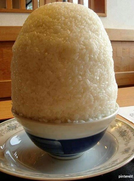 저녁은 항상 고봉 동참이요!!!!!!