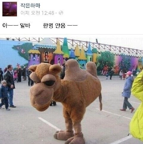 인형탈 알바 한 명 안 옴 ㅋ ㅋ ㅋ ㅋ ㅋ ㅋㅋ