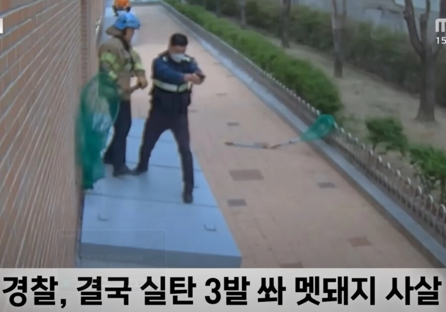 경찰이 현장상황 판단으로 실탄 사살한 사건