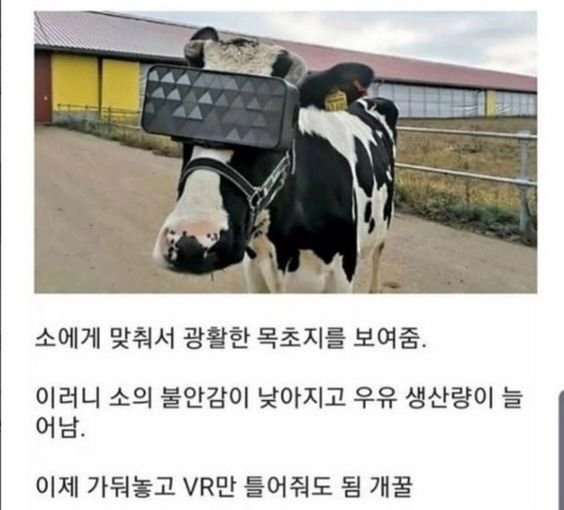 사이버펑크