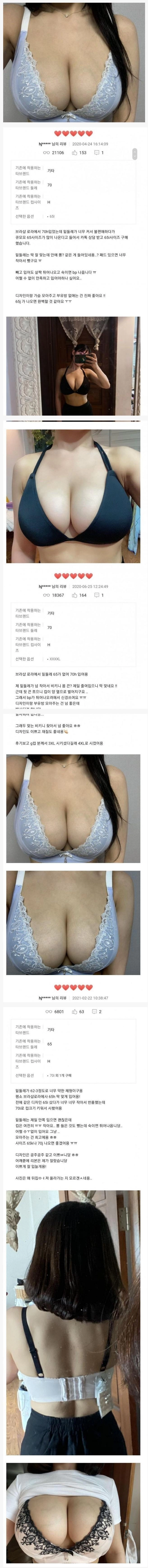 H컵녀의 쇼핑몰 브라 후기