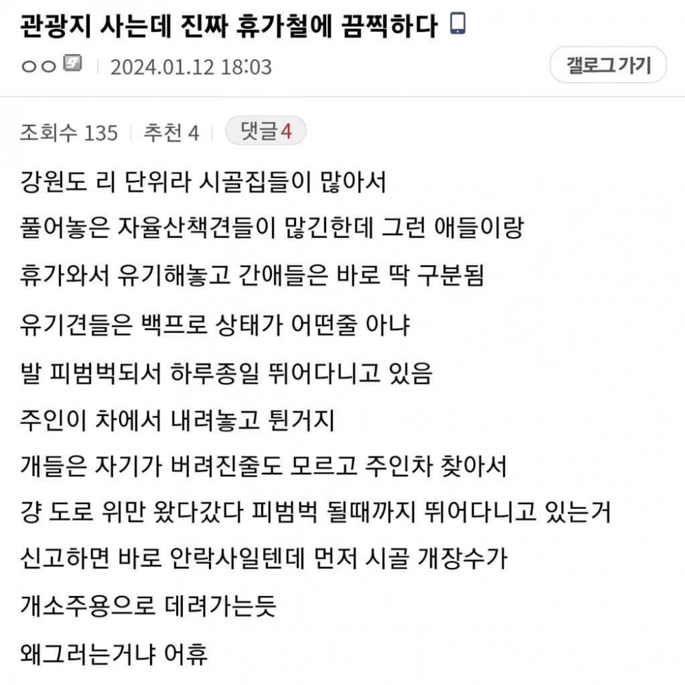 관광지사는데 진짜 휴가철에 끔찍하다