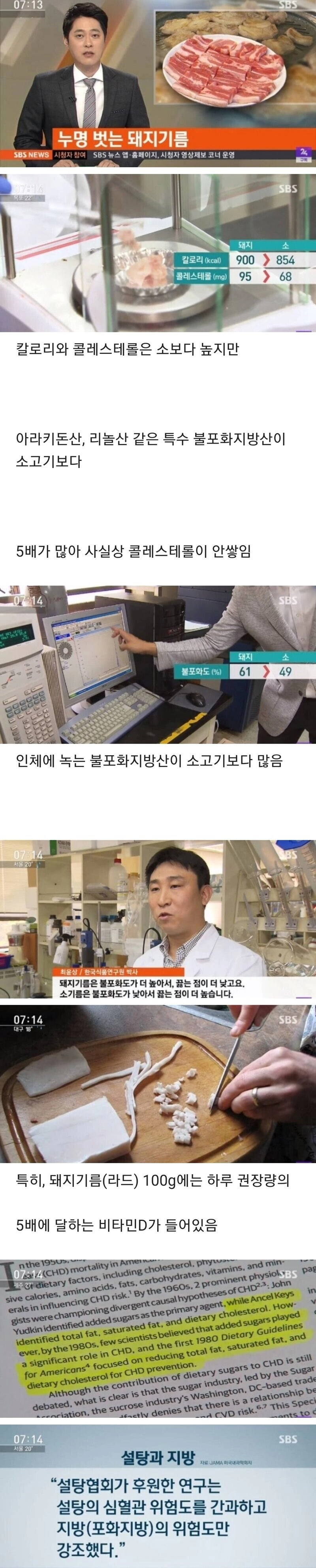 누명 벗는 돼지비계 ㄷㄷ