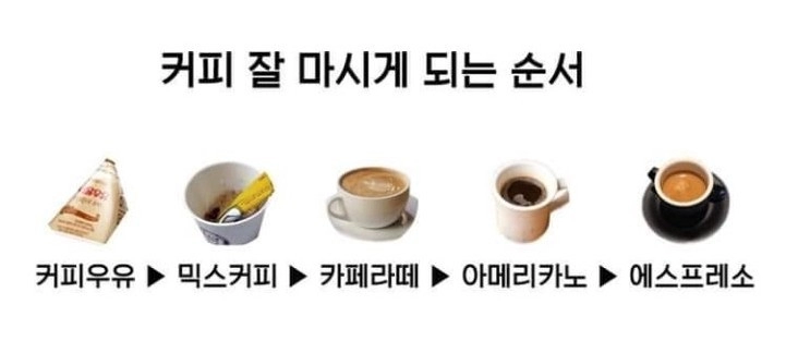 커피 잘 마시게 되는 순서