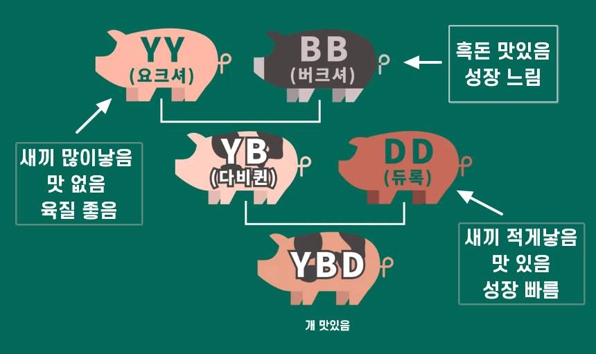 요즘 웬만한 삼겹살 가게가 맛있는 이유