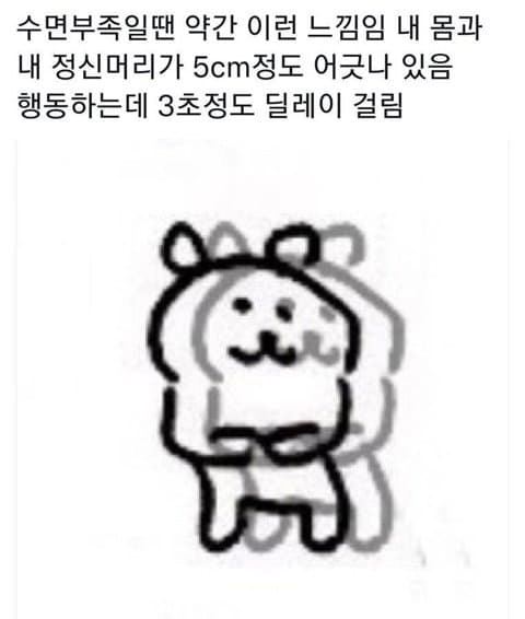 수면부족 증상