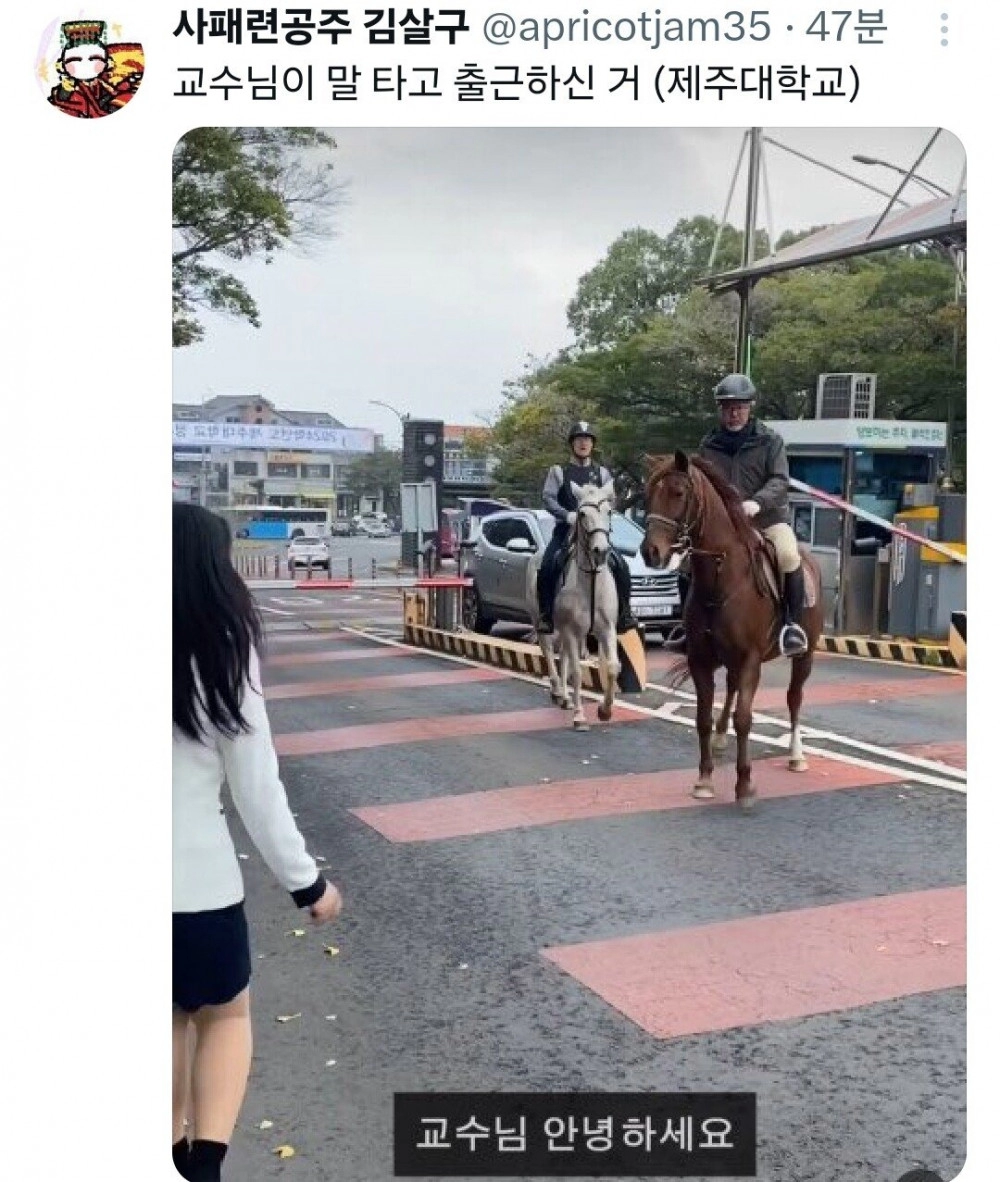 대학 와서 봤던 거 중에 가장 신기한게 뭐였음?
