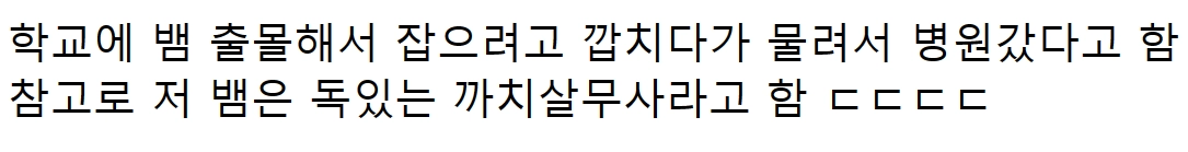 ??? : 니들은 뱀 만지지 마라