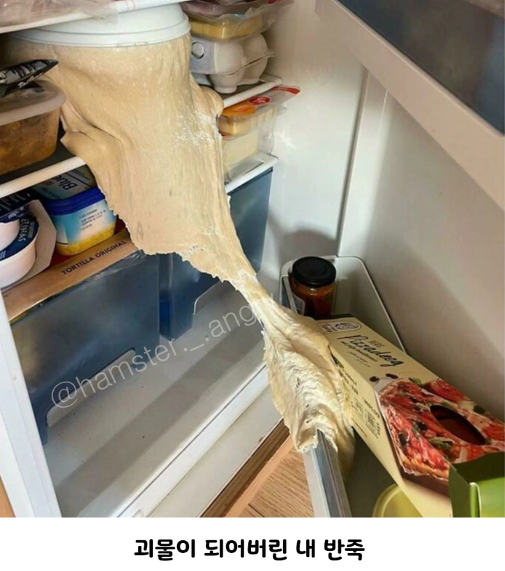 해외의 망한 베이킹 자랑대회.