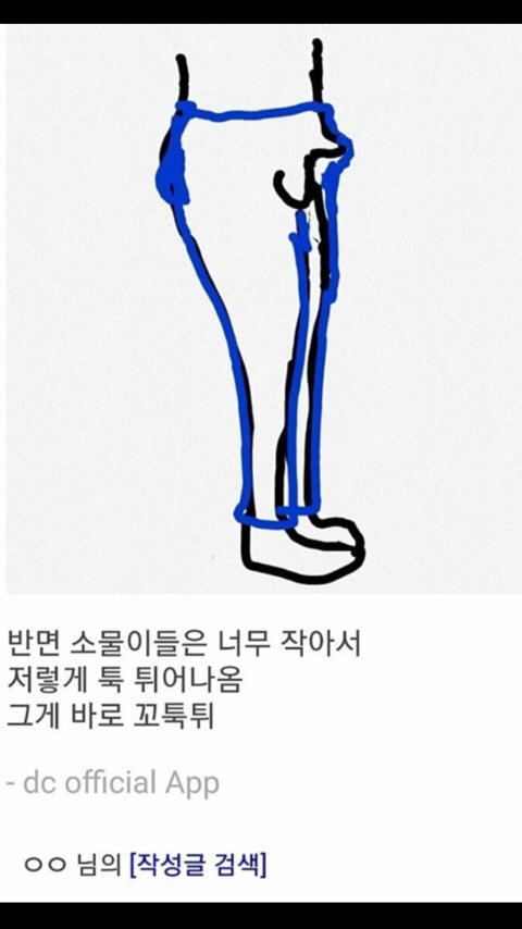 여자들이 대표적으로 오해하는 남자 성기 크기