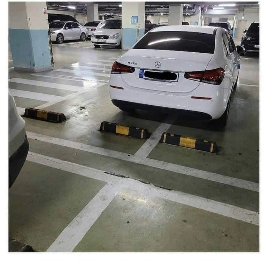 어떤 삶을 살아온 건지 궁금한 주차빌런