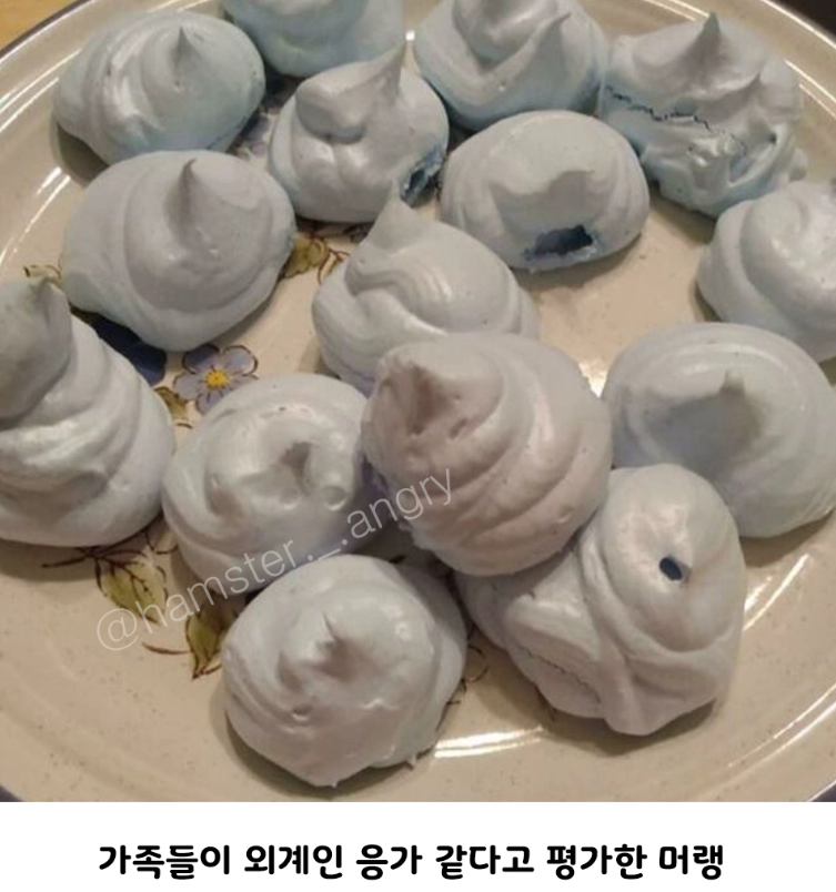해외의 망한 베이킹 자랑대회.