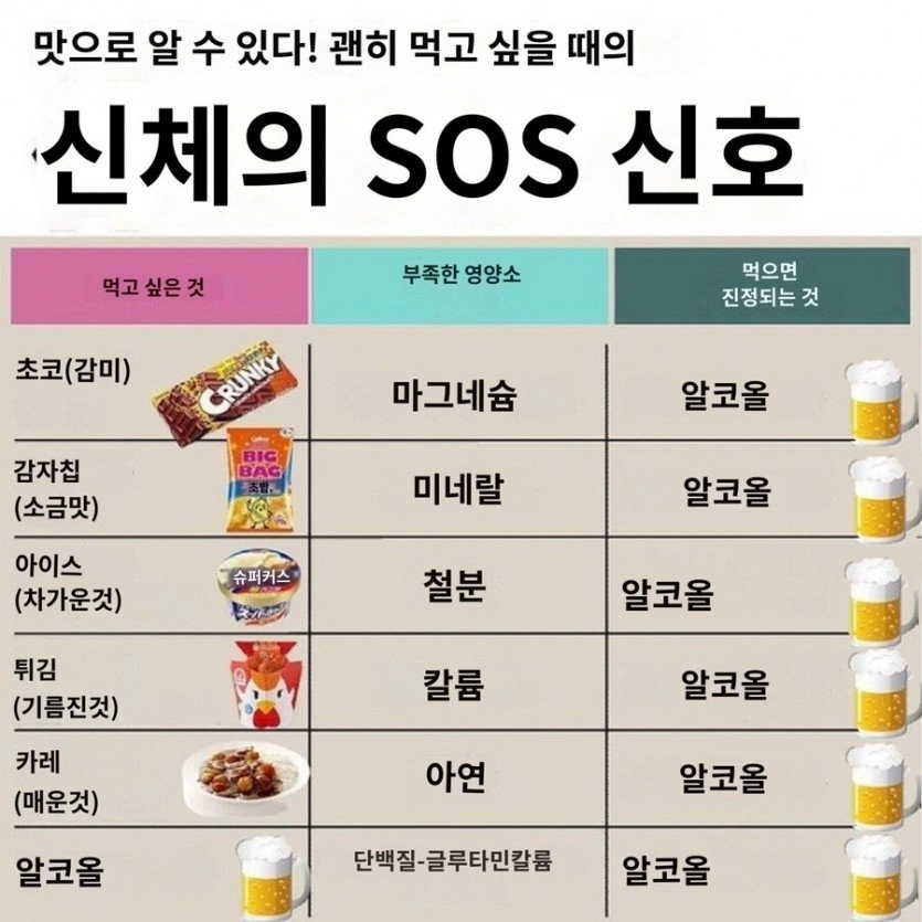 신체가 보내는 SOS 신호