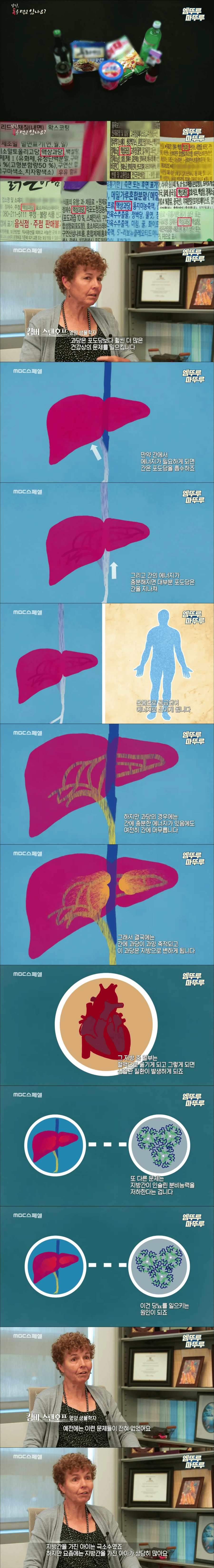 간건강에 최악의 음식