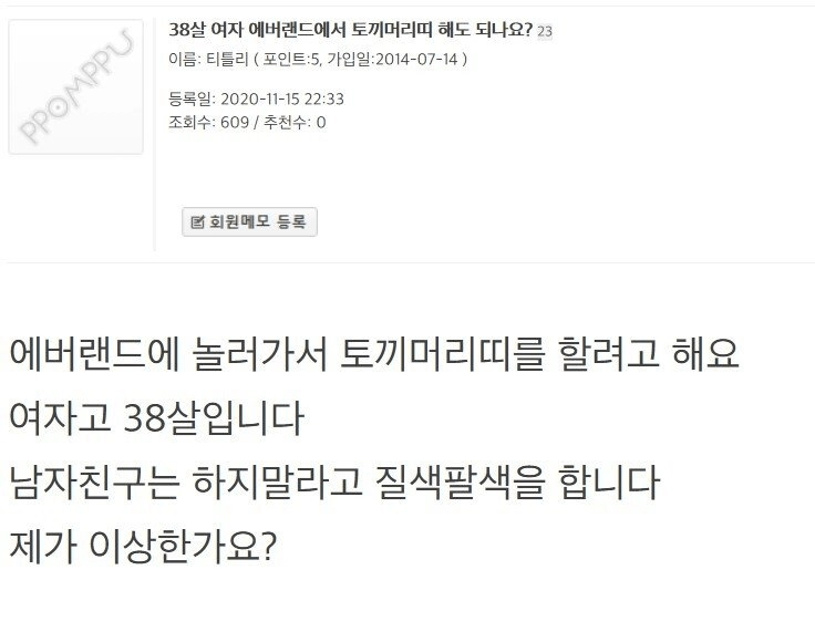 38살 여자 에버랜드에서 토끼머리띠 해도되나요?