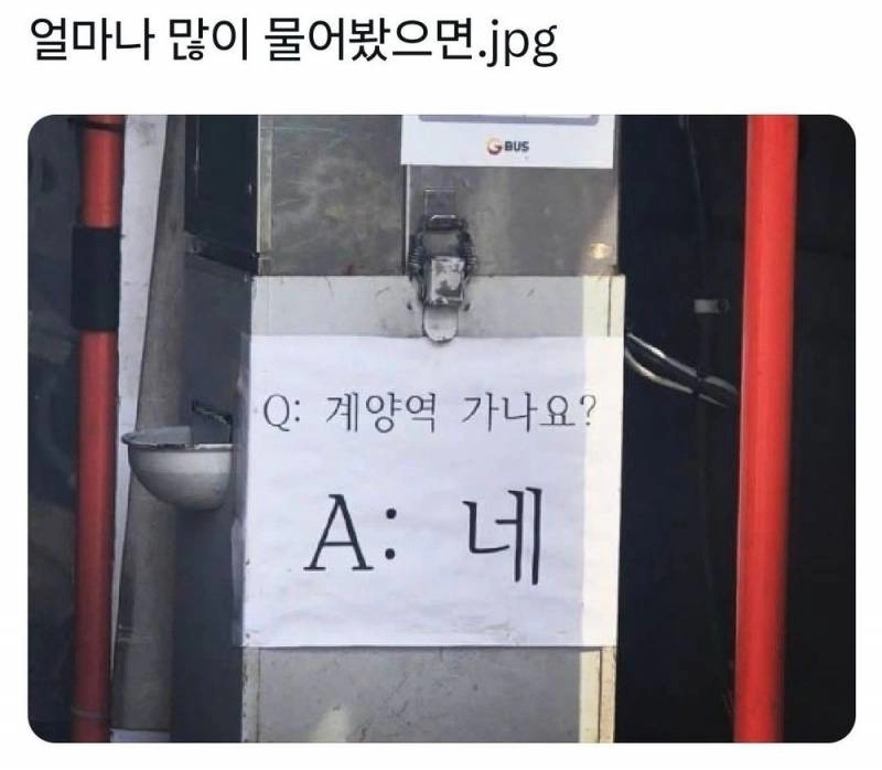 얼마나 많이 물어봤으면