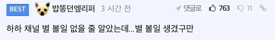 하하 치지직 방송채널 근황