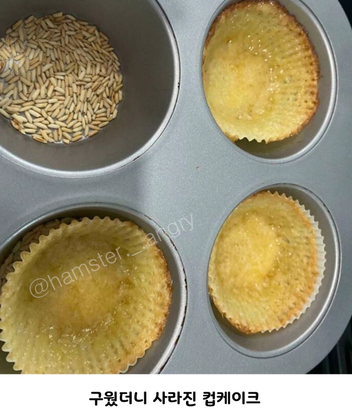 해외의 망한 베이킹 자랑대회.