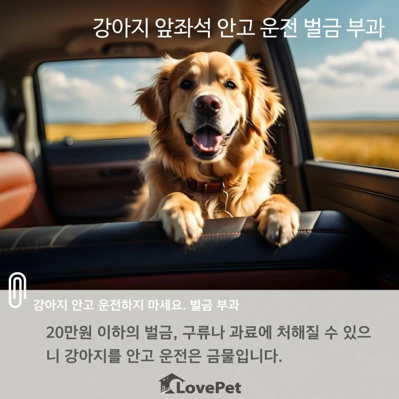 개주인99%는 모를 불법행위