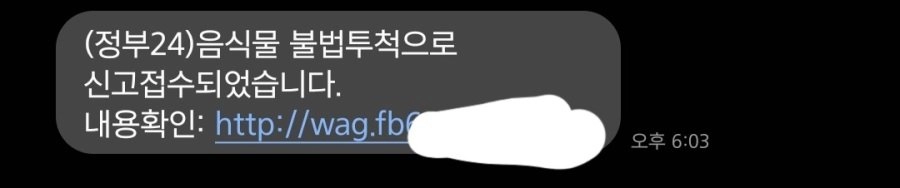최근 돌고 있는 피싱 문자