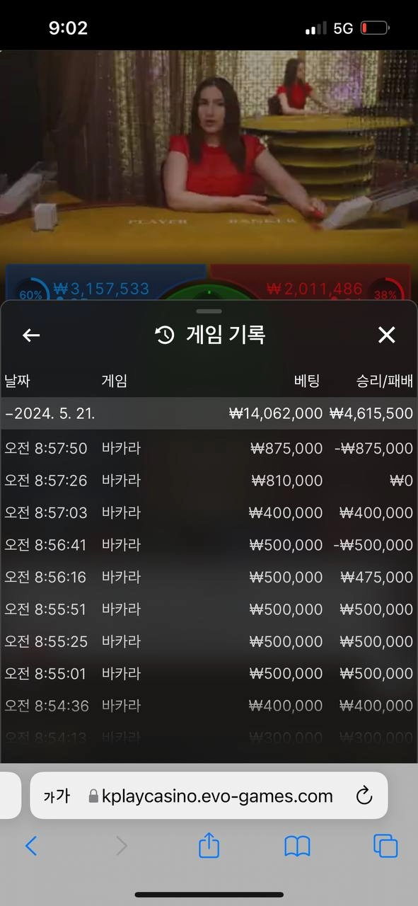 더 미트 먹튀