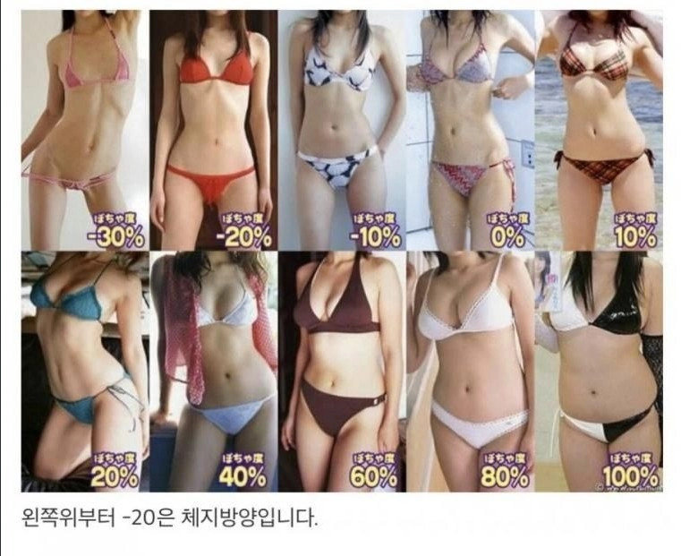일본의 여성 몸매 취향표