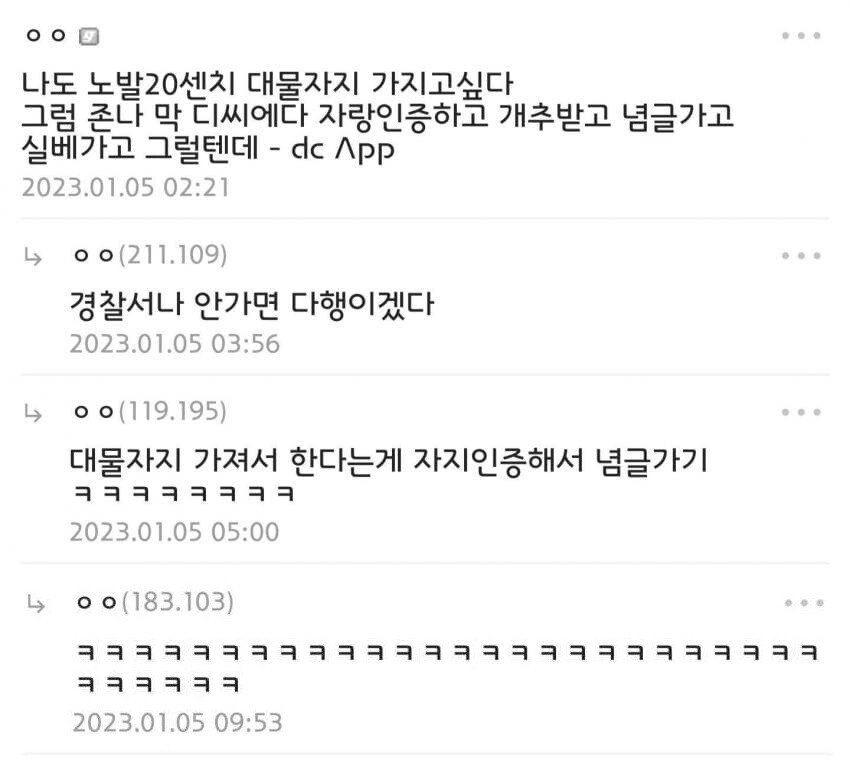20센치 대물을 가지면 하고싶은일