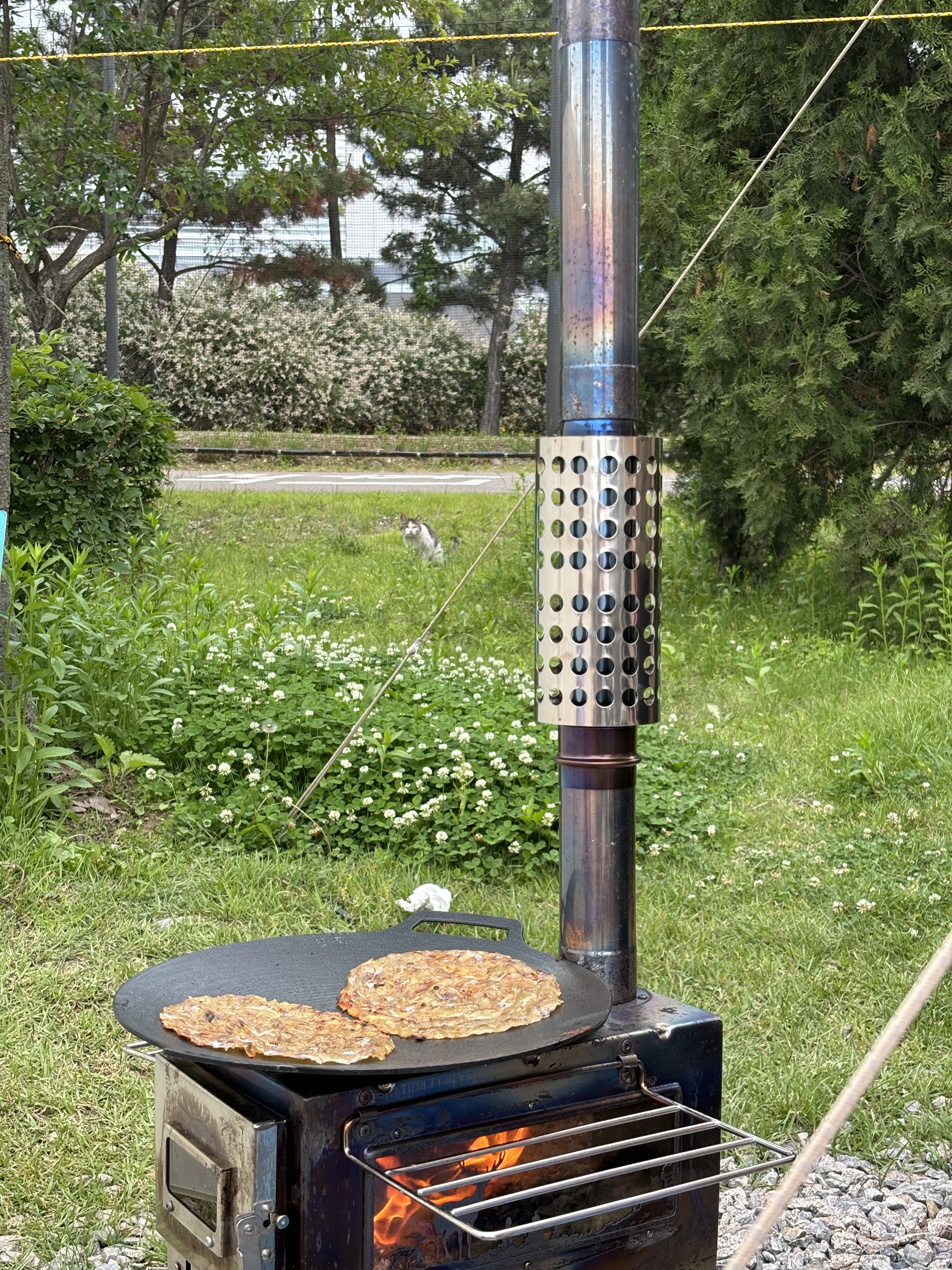 지켜보고 있다..