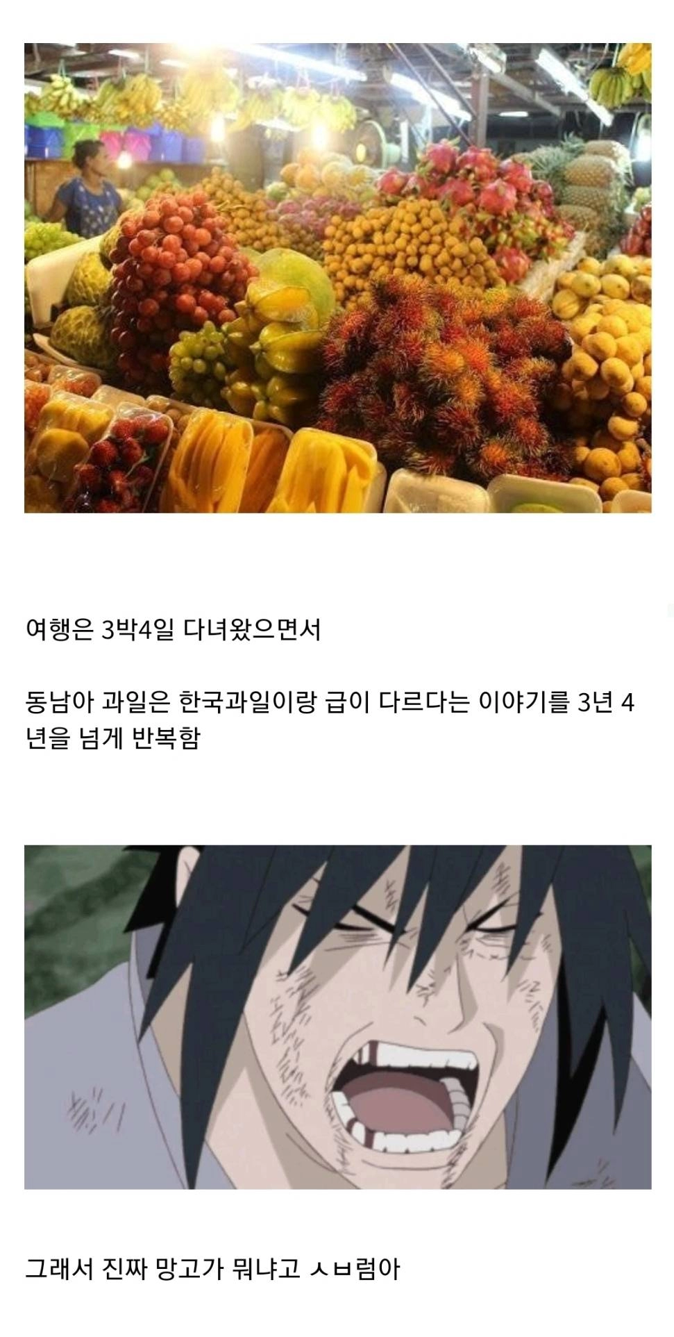 동남아 여행 다니는 친구 피해야 하는 이유.