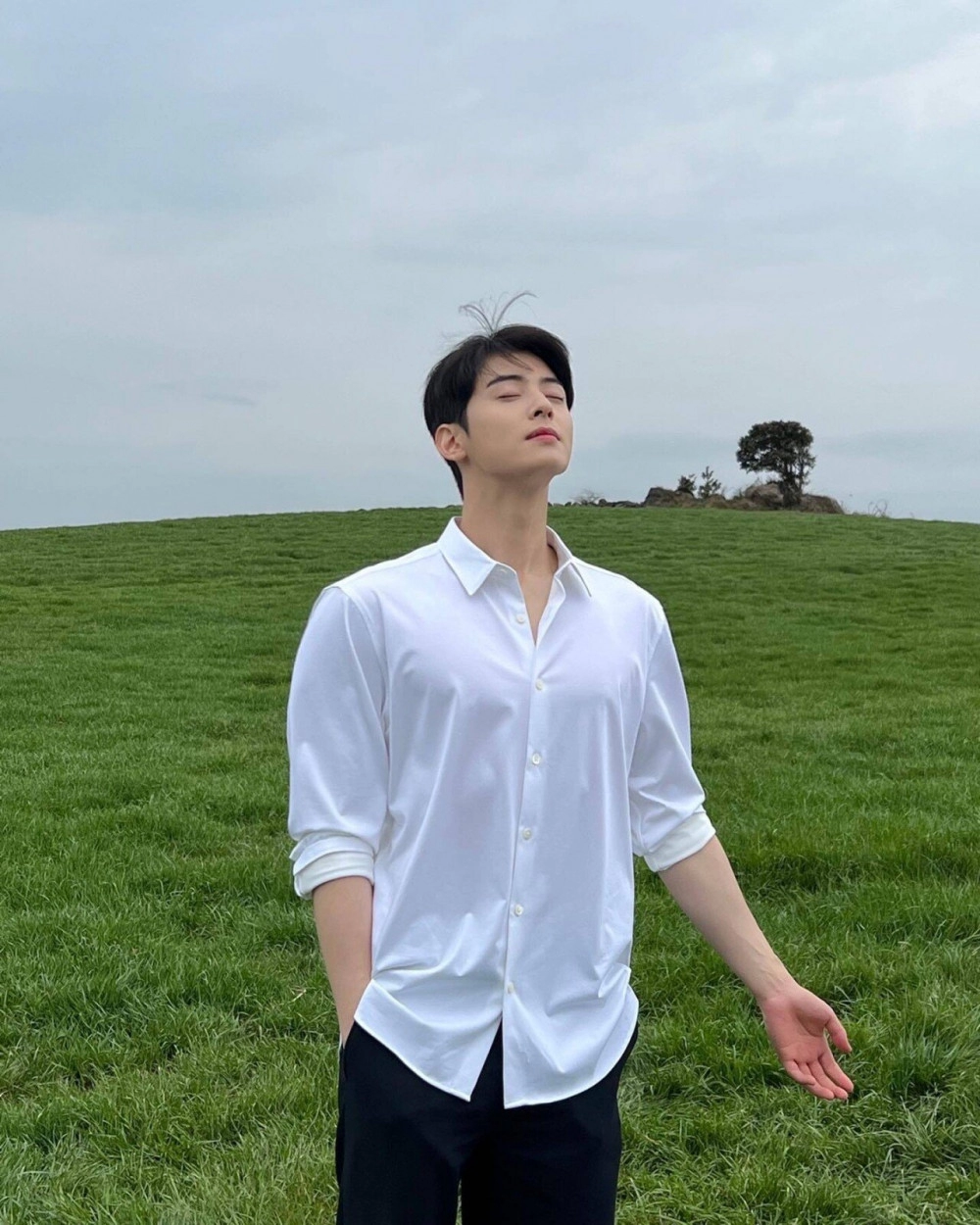 차은우로 보는 남자 벌크업의 중요성