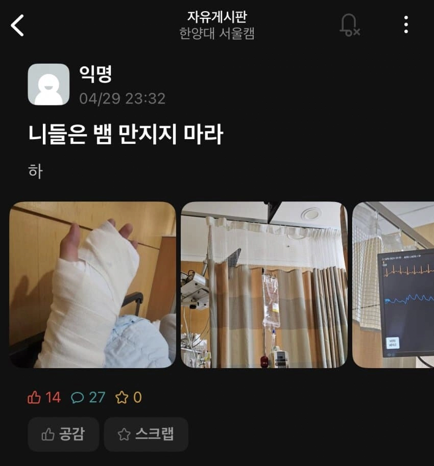 ??? : 니들은 뱀 만지지 마라