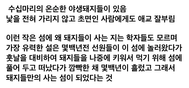 남자라면 한번쯤 가보고 싶은 바하마 돼지섬 풍경